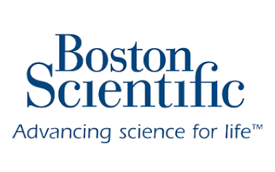 logo da boston